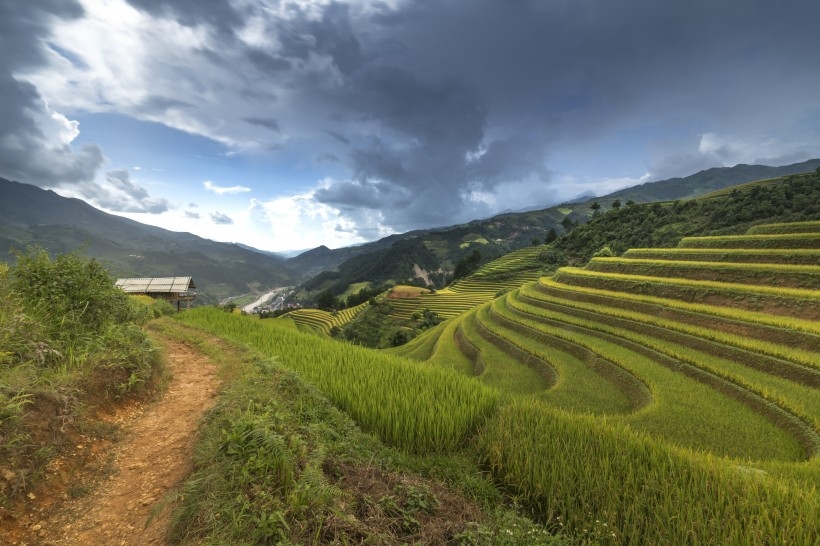 丘陵上的绿水梯田风景图片