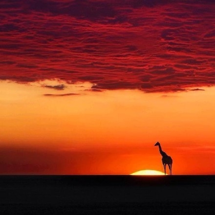 火红的夕阳风景图片