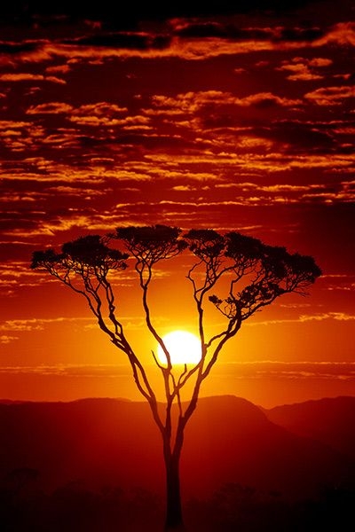 火红的夕阳风景图片