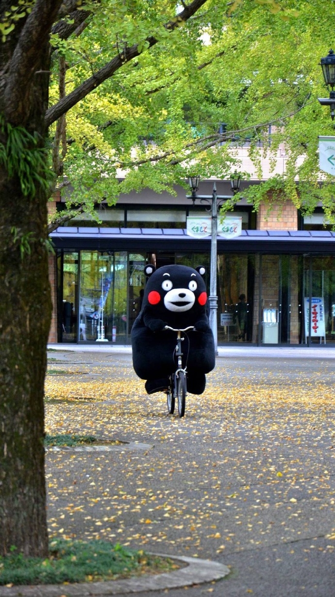 捕捉一只熊本熊可爱图片