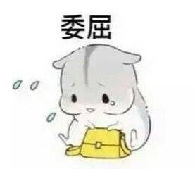 萌萌哒的仓鼠搞笑文字图片