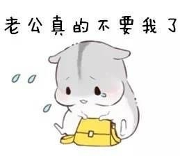 萌萌哒的仓鼠搞笑文字图片