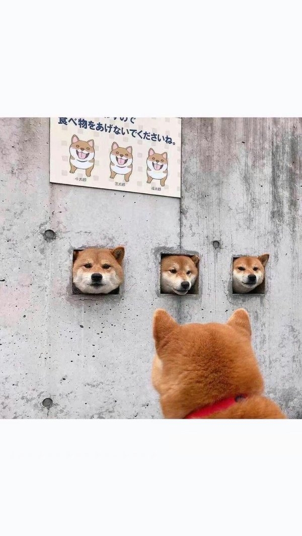 我宁哥单身也不要将就非主流文字图片
