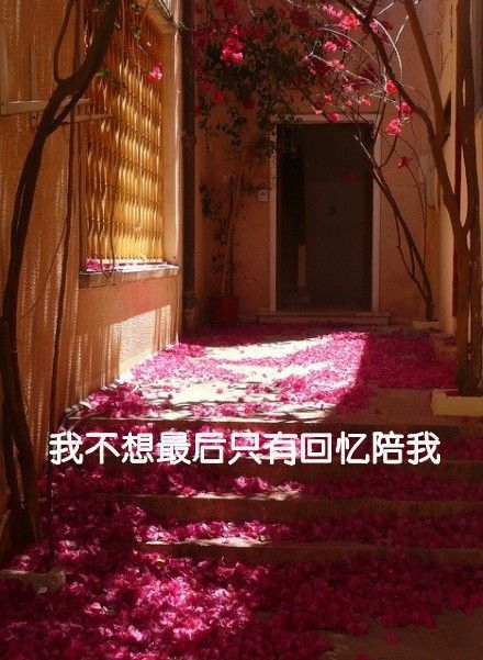 非主流黑白背景伤感语录文字图片