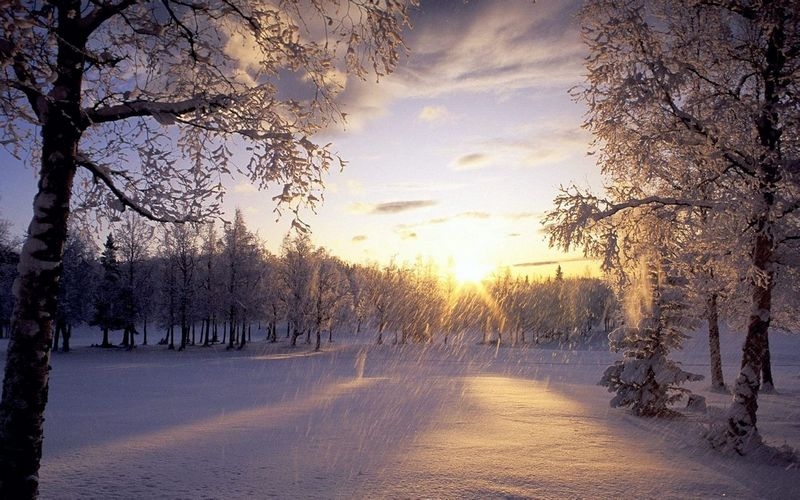 冬季雪景唯美风景图片