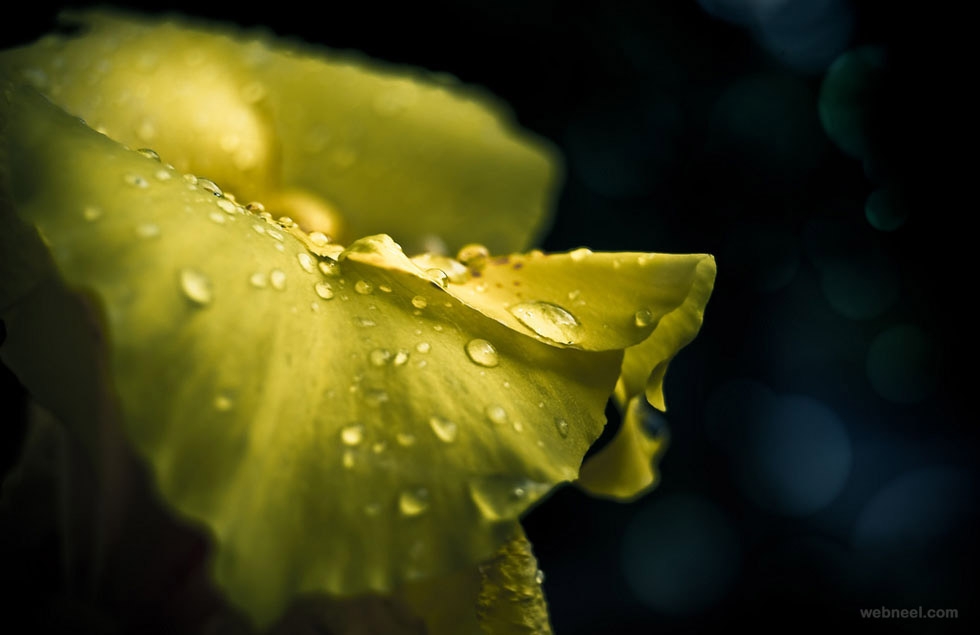 下雨的巴黎街头唯美风景图片