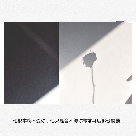 疏远也许只是太喜欢晚安心语文字图片