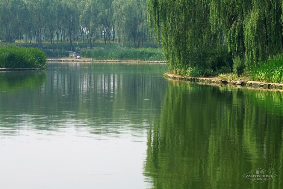绿色唯美风景清澈池塘图片