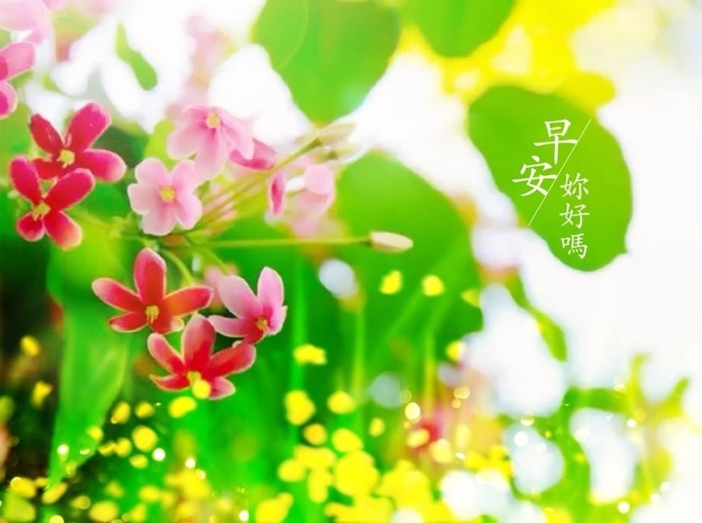 你好早安小清新植物背景文字图片