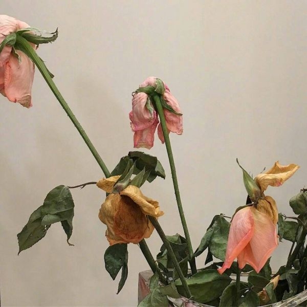 魔法少女心粉色唯美意境图片