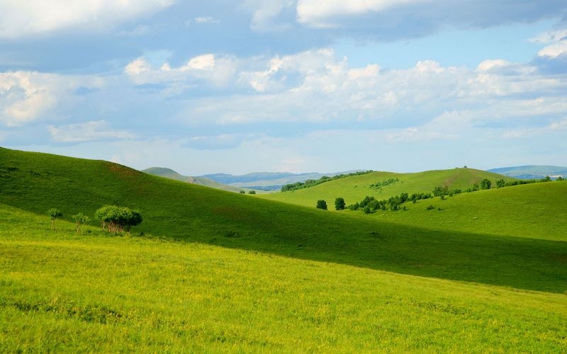 绿色护眼的大草原自然风景壁纸图片