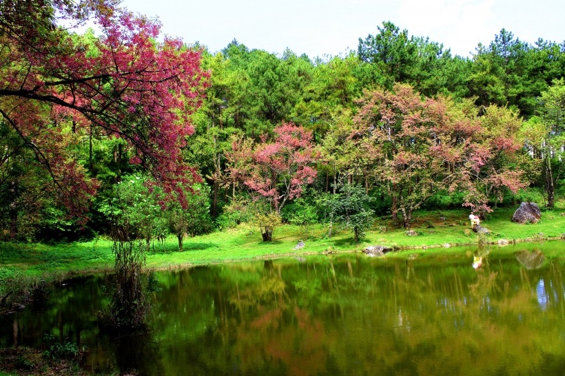 清迈山水自然风景图片