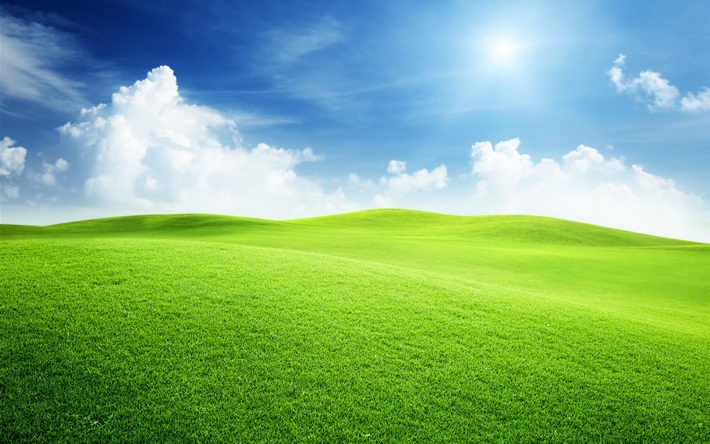 一望无垠的绿色大草原风景壁纸图片