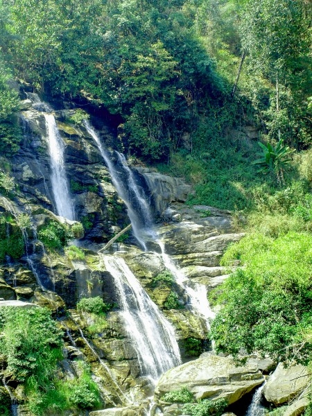 森林里的瀑布风景图片