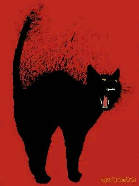 一人一猫一书一辈子可爱图片
