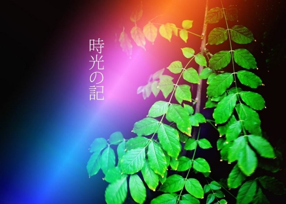 你好早安小清新植物背景文字图片