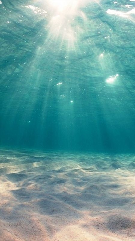 梦幻的海洋海底世界高清手机壁纸下载