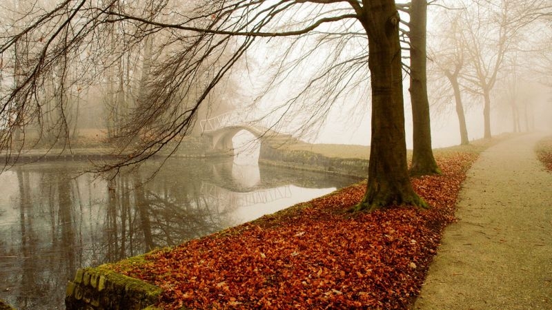 秋天河边的落叶高清风景桌面壁纸