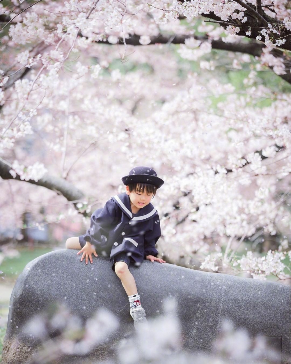 樱花树下的4岁可爱小宝宝图片