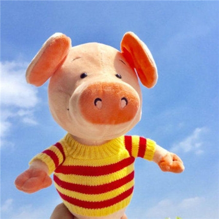 可爱的玩具猪猪公仔图片