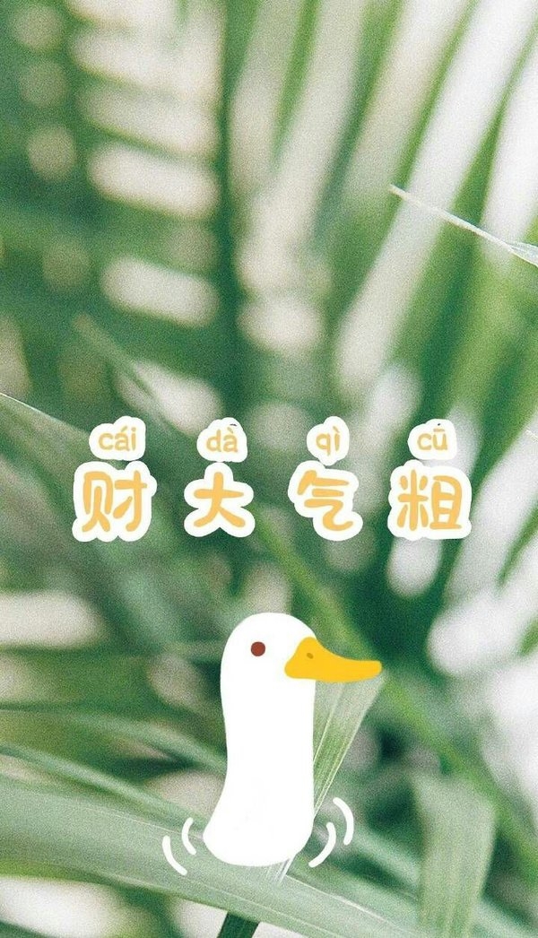 可爱搞笑的创意手机壁纸图片