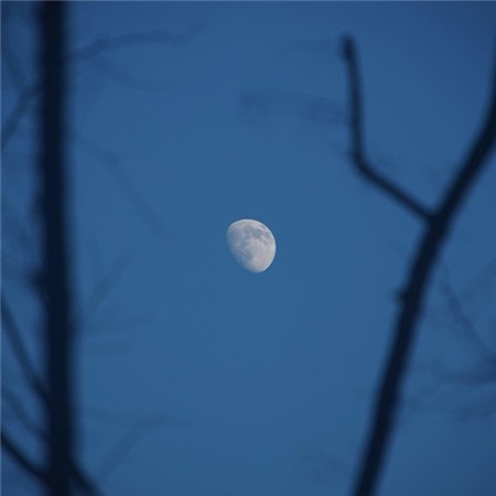 有缺陷的月亮才是最美的夜色风景图片