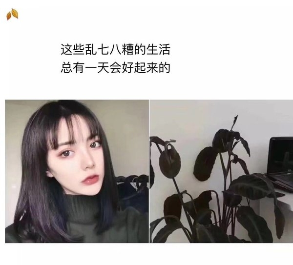 高颜值美女背景加情感叙述文字图片