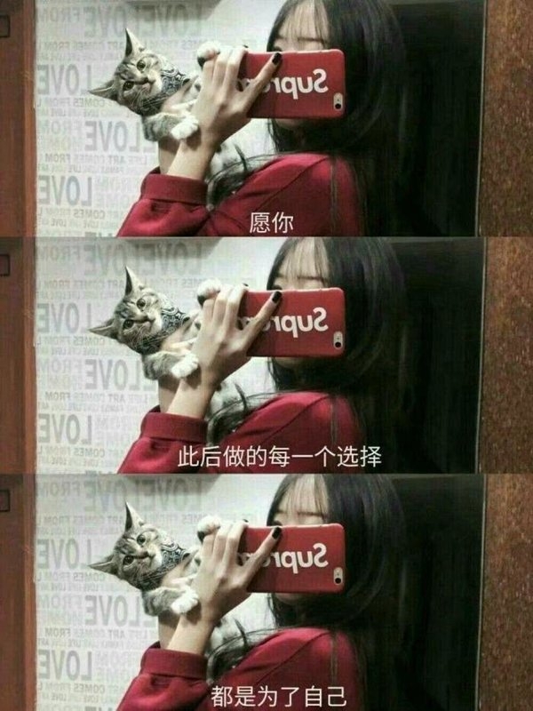我可以用一辈子去认识你电影里的经典桥段文字图片