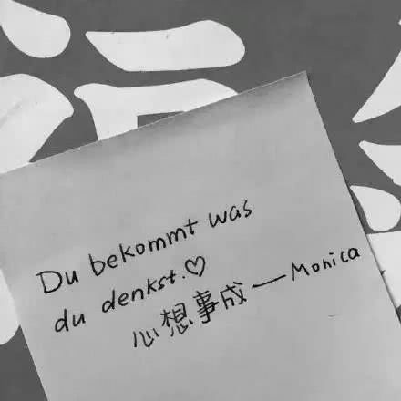 小清新唯美静物摆拍杂图