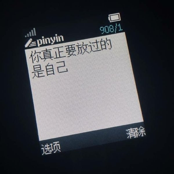 非主流感情手机语录文字图片