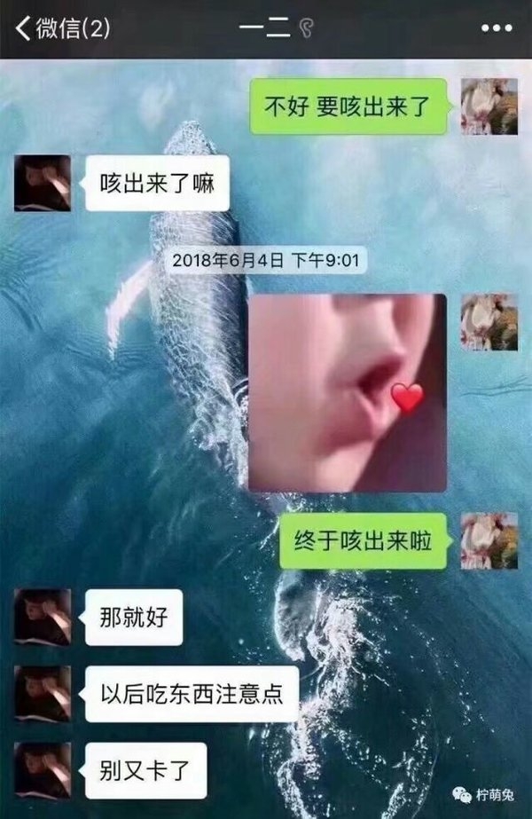 这可能就是直男吧爆笑对话图片