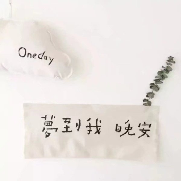 可爱的熊本雄搞怪图片