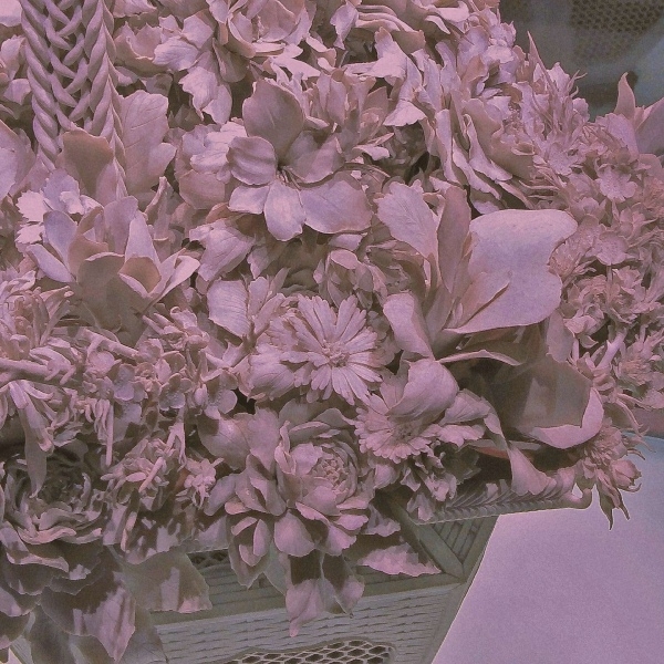 滤镜下好看的百合花植物图片