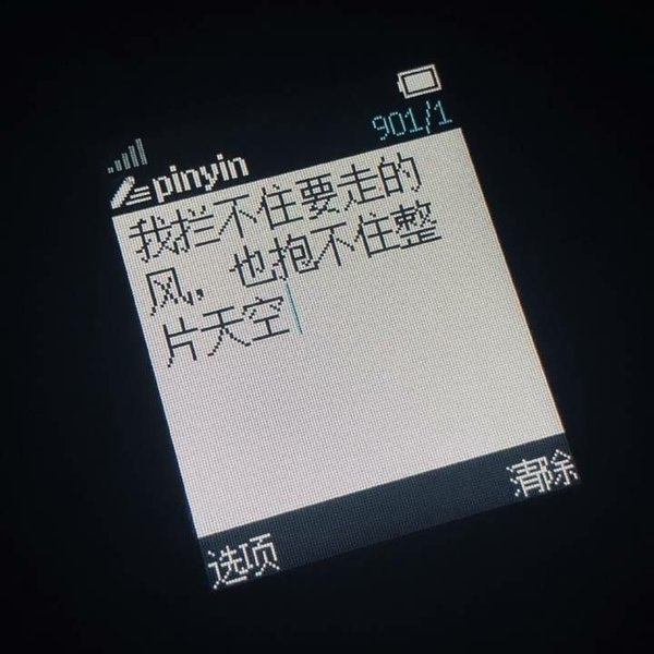 非主流感情手机语录文字图片