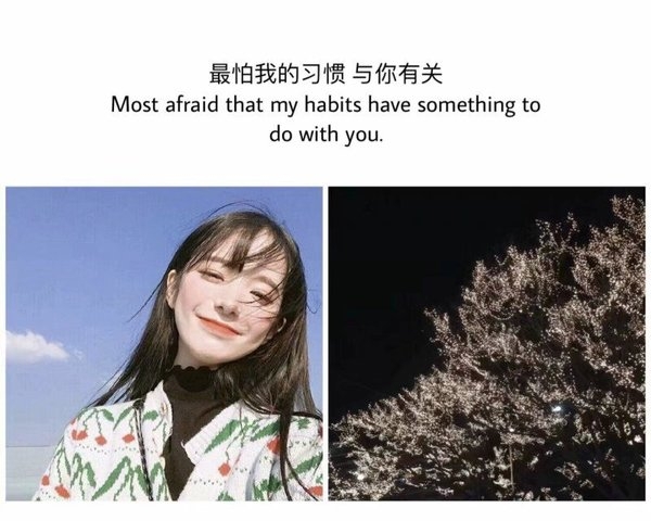 小清新唯美伤感心情说说文字控配图