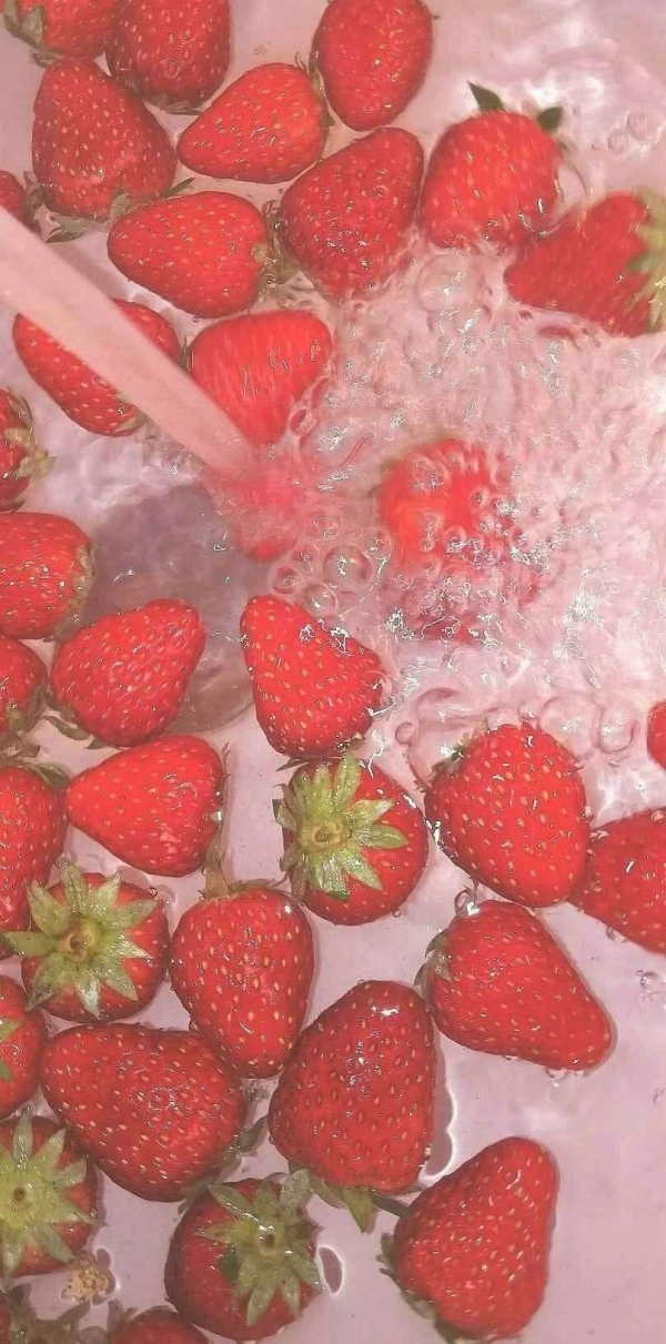 鲜嫩的草莓泡在水里养眼小清新背景图片