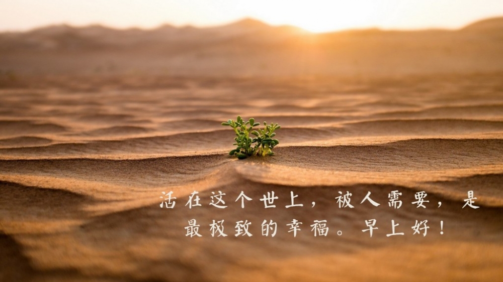 白茶清欢也无事我在等风也等你朋友圈早安心语文字图片