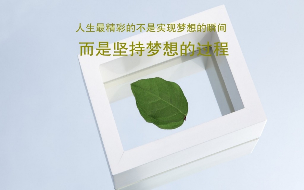 高三学生党开学季青春励志标语纯文字图片