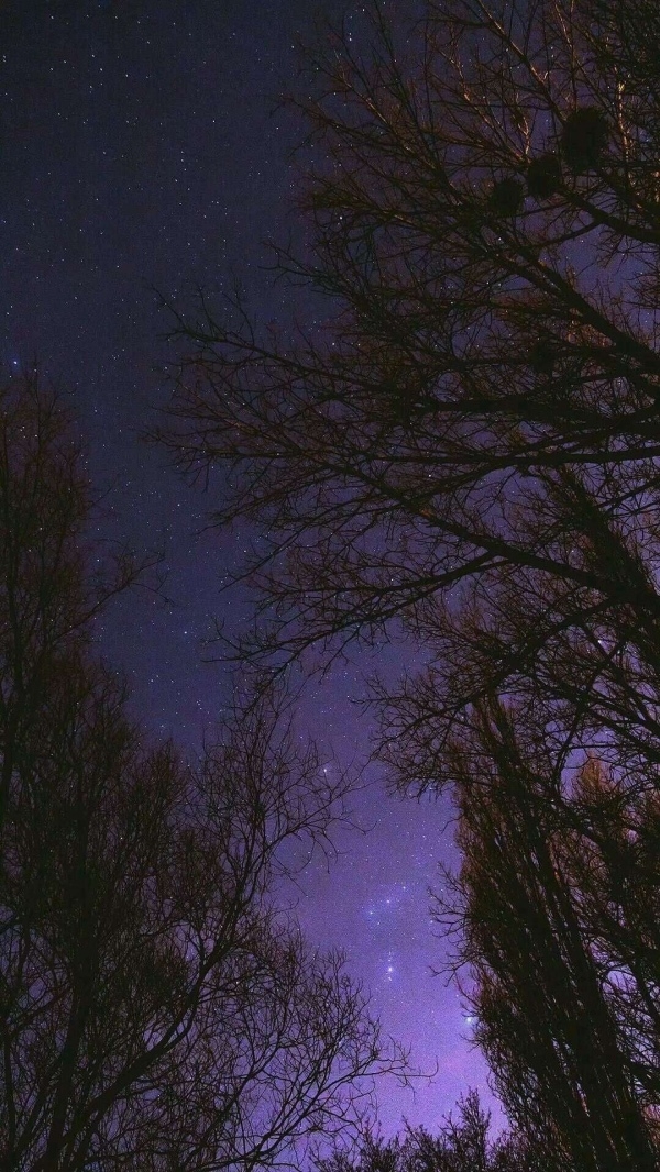 深夜大自然的美丽星空唯美意境图片