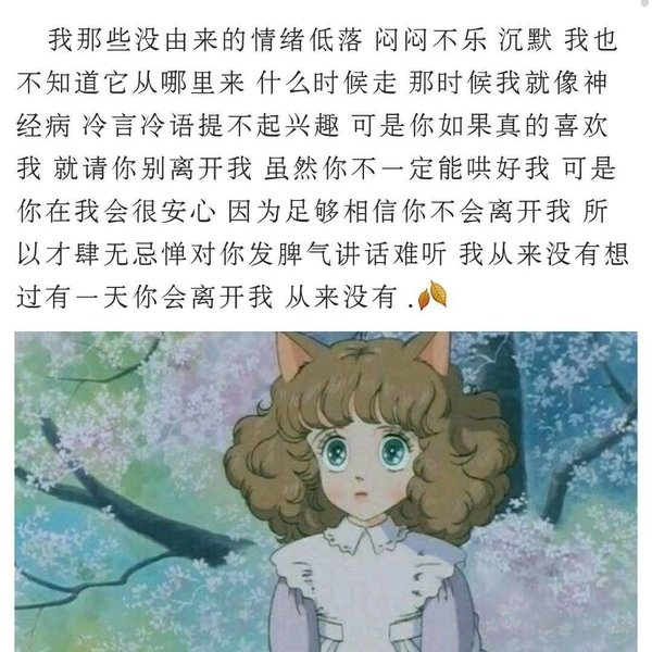 爱你太卑微那我放你走情感文字图片