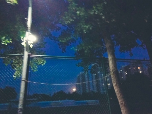 日本动漫里夜晚路灯下的校园操场唯美小清新图片
