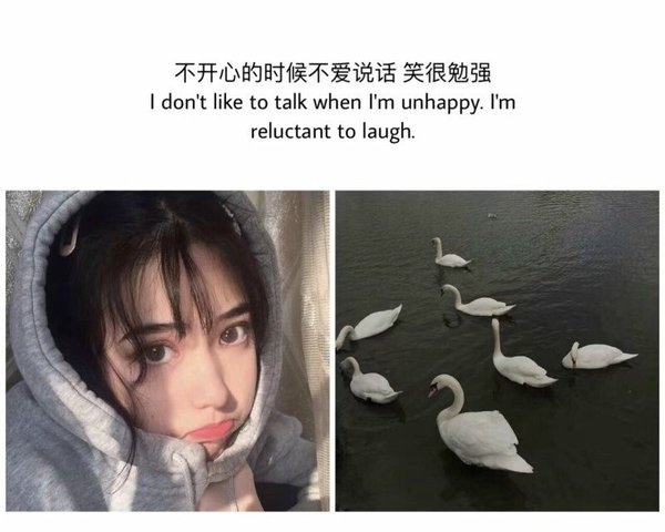 小清新唯美伤感心情说说文字控配图