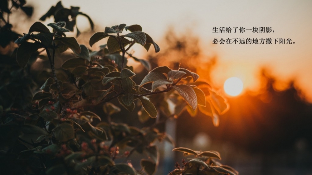金黄色温暖的清晨阳光配暖心的早安说说文字语录电脑壁纸