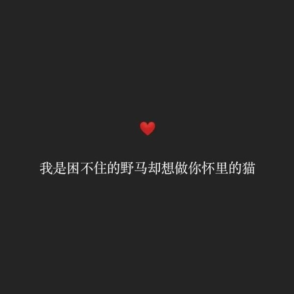 很甜很撩人的表白情话短句子纯文字黑色背景图片