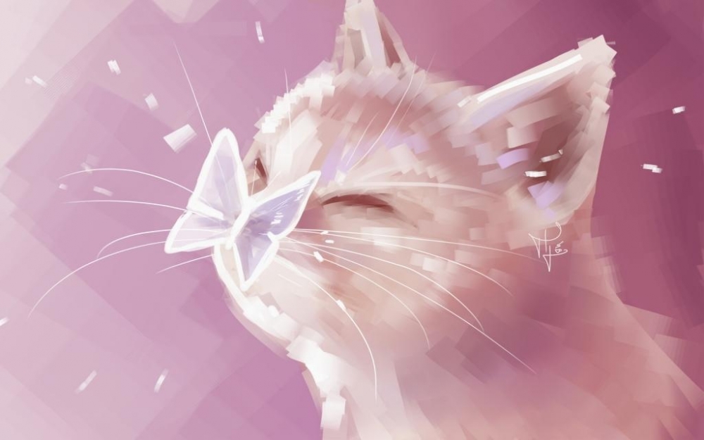 超级可爱的治愈系小猫咪鼻子上站着蝴蝶涂鸦手绘图片