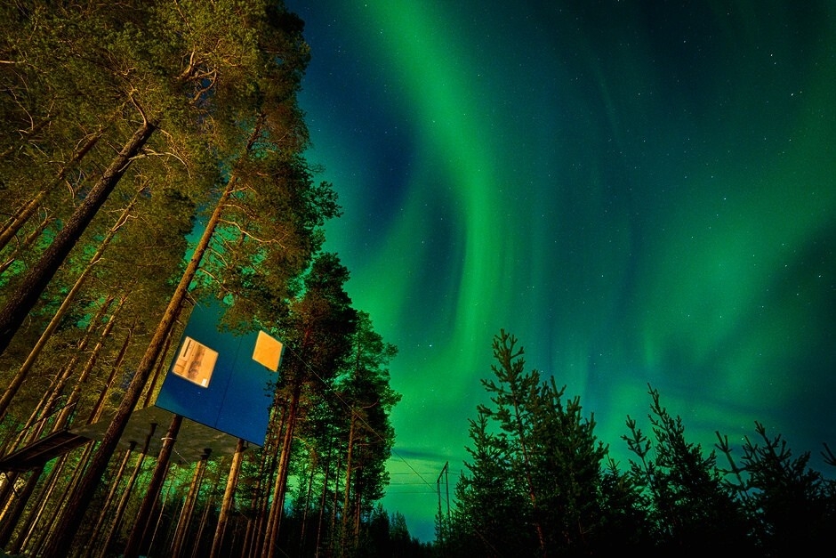 国外森林里瑞典的树屋美丽的大自然树木风景图片