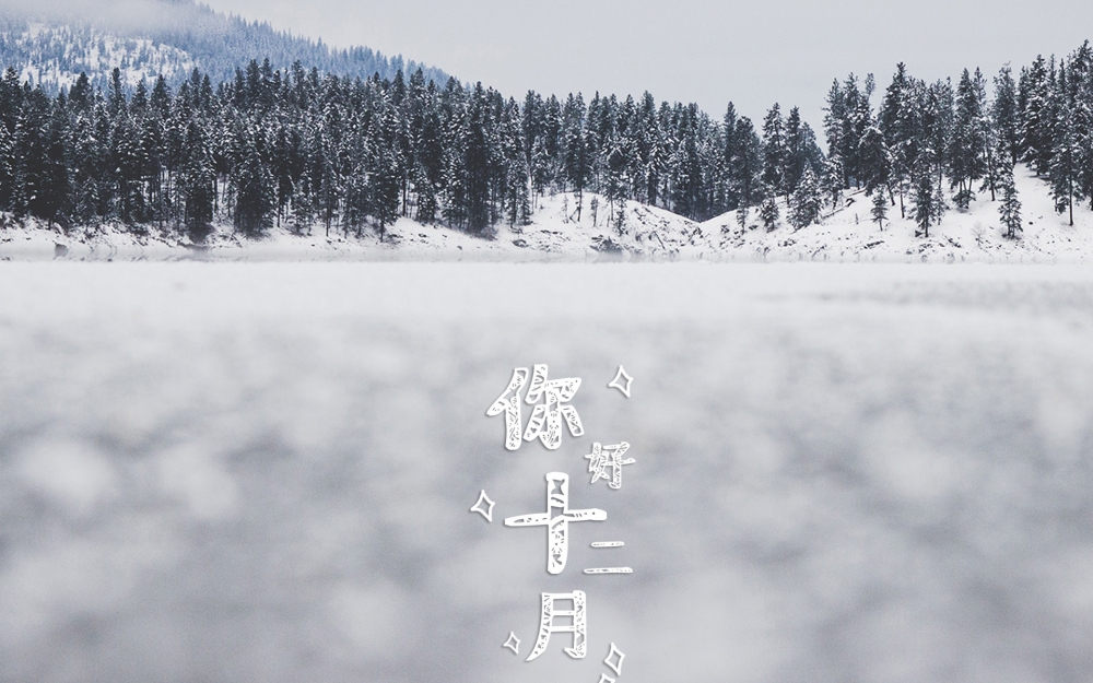 十二月鹅毛大雪美丽的户外大自然风景带文字电脑桌面壁纸