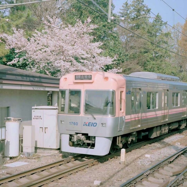 小清新文艺的日本街道铁轨火车樱花少女日系滤镜唯美意境图片