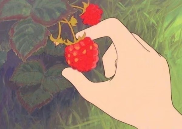宫崎骏日本动漫里的水果小野莓鲜艳可口美食图片