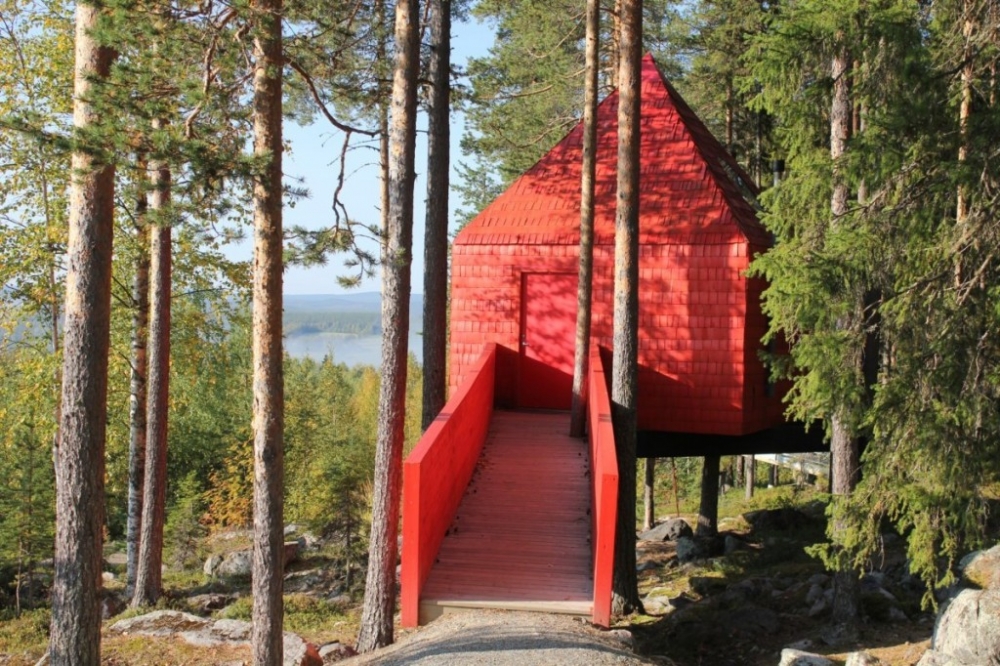 国外森林里瑞典的树屋美丽的大自然树木风景图片